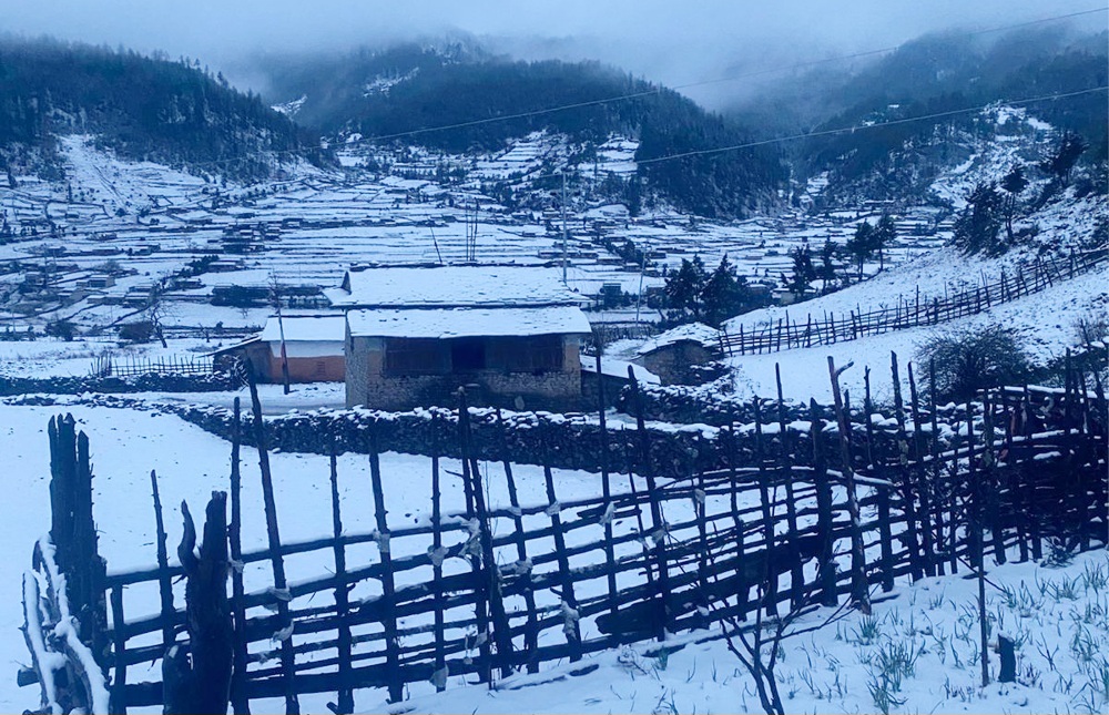 हिउँमा फसेका २५० यात्रुको उद्धार